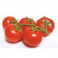 Tomato Truss (Bunch of 5)