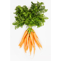 Dutch Carrots (Bunch)