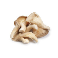 Mushroom Oyster (100gm Pack)