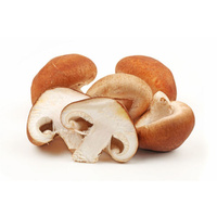 Mushroom Shiitake 100gm Pack