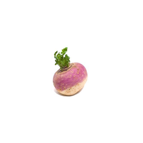 Turnip (Each)