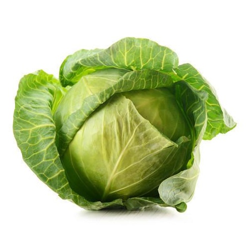 Cabbage Whole Green (Each)