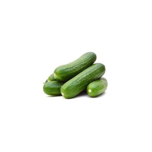 Cucumber Lebanese (PER KILO)