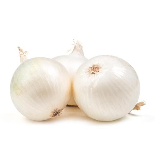 Onion White (PER KILO)