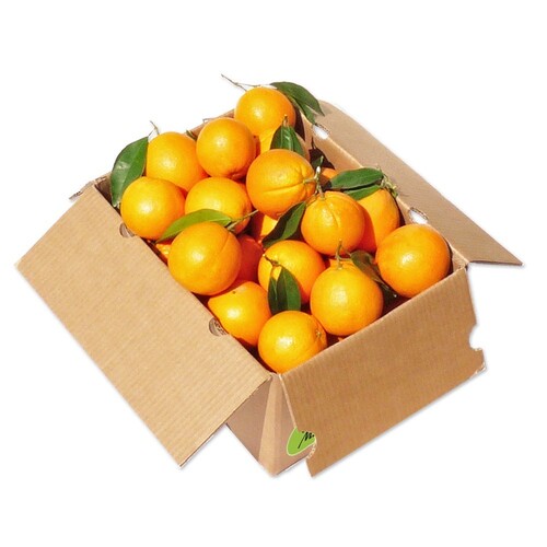 Orange (14kg Juicing Case)