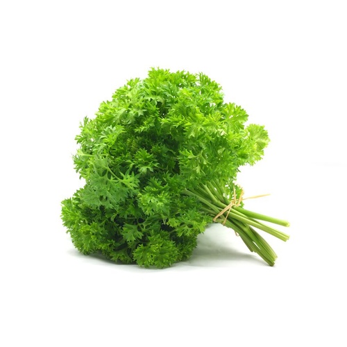 Parsley (Curly)