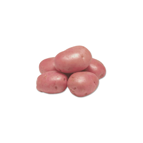 Potato Desiree (PER KILO)