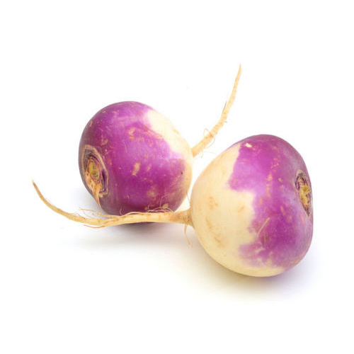 Turnip (PER KILO)