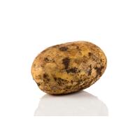 Potato Brushed Large (Each)