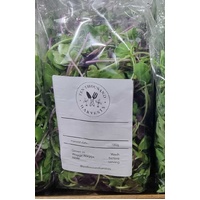 Ten Thoasand Harvest Mico Green (Rainbow Mix)