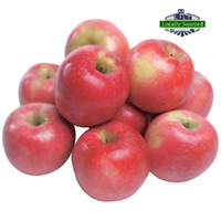 Apple Pink Lady (PER KILO)