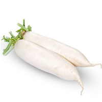 Daikon (Each)