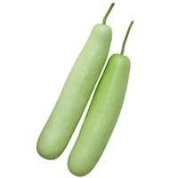 Long Melon (each)