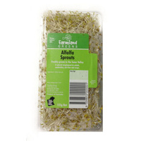 Sprouts Alfalfa (125 grm Pack)