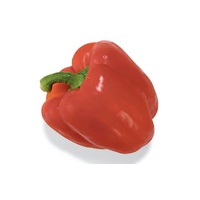 Capsicum Red (Each)