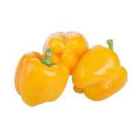 Capsicum Yellow Each