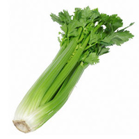 Celery (Bunch)