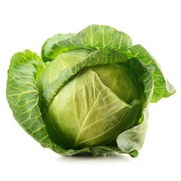 Cabbage Whole Green (Each)