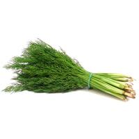 Dill (Bunch)