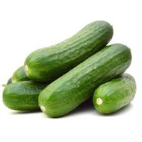 Cucumber Lebanese (PER KILO)