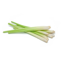 Fresh Lemon Grass