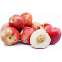 Nectarine White Flesh (PER KILO)