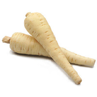 Parsnip (Each)