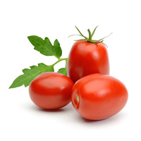 Tomato Roma (PER KILO)