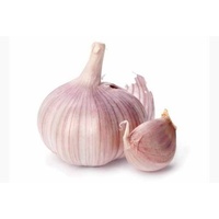 Garlic (Bulb)