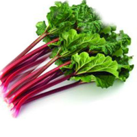 Rhubarb Bunch