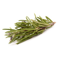 Fresh Rosemary (Bunch)