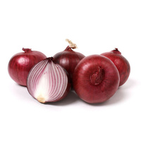 Onion Red (PER KILO)
