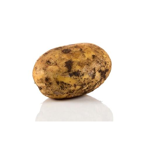 Potato Brushed Large (Each)
