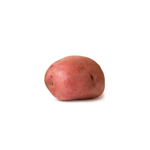 Potato Red (Each)