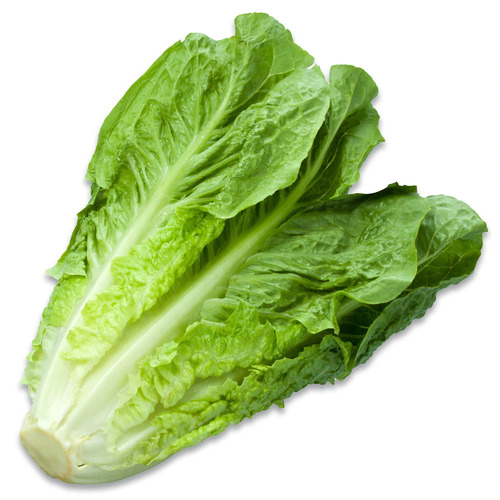 Lettuce Cos (Each)