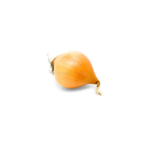 French Onion (Each)