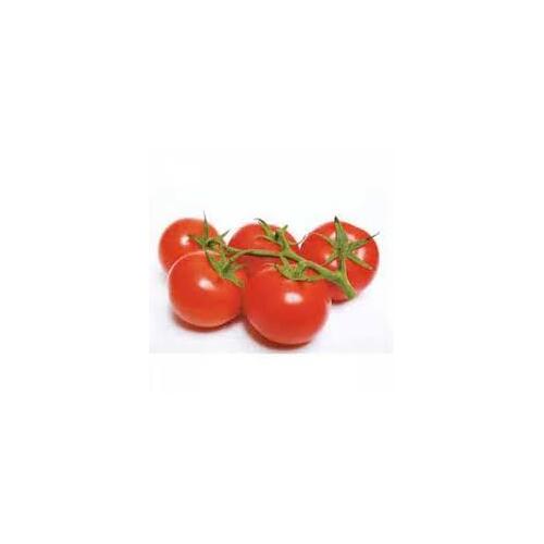 Tomato Truss (Bunch of 5)