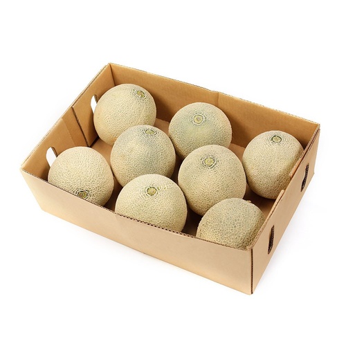 Rockmelon Case