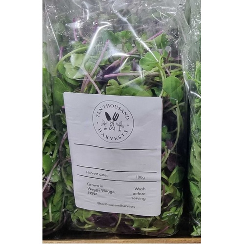 Ten Thoasand Harvest Mico Green (Radish Micros)