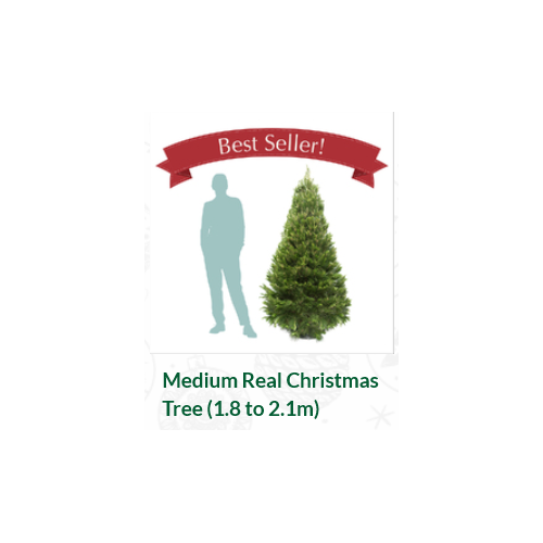 Real Christmas Trees – Fresh, Premium Quality