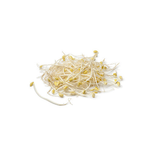 Beanshoots (Packet)