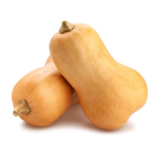 Pumpkin Butternut Whole 