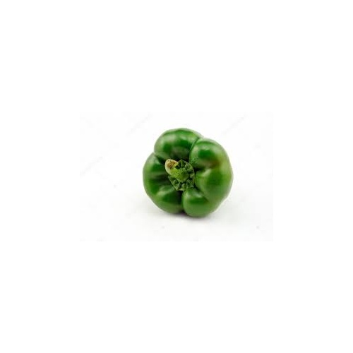 Capsicum Green (Each)