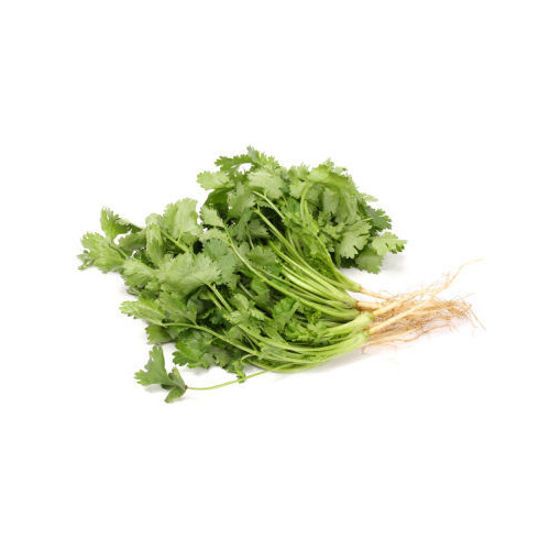 Coriander Fresh (Bunch)