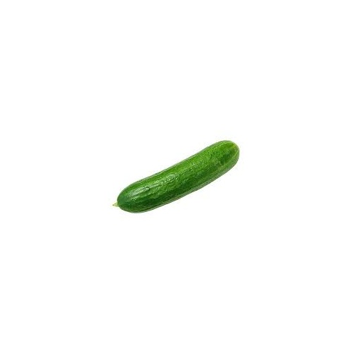 Cucumber Lebanese (Each)