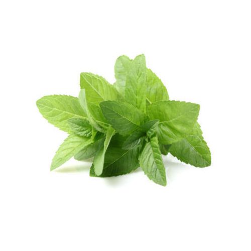 Mint Fresh (Bunch)