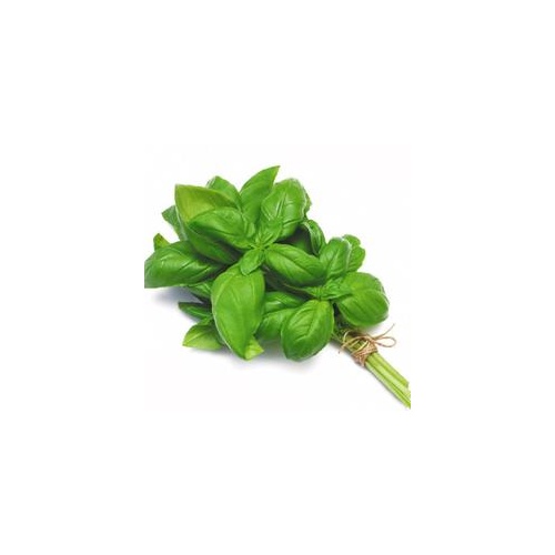 Basil Fresh (Bunch)