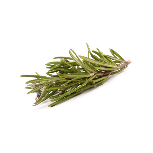 Fresh Rosemary (Bunch)